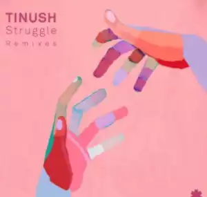 Tinush - Struggle (Franky Rizardo Sunset Mix)